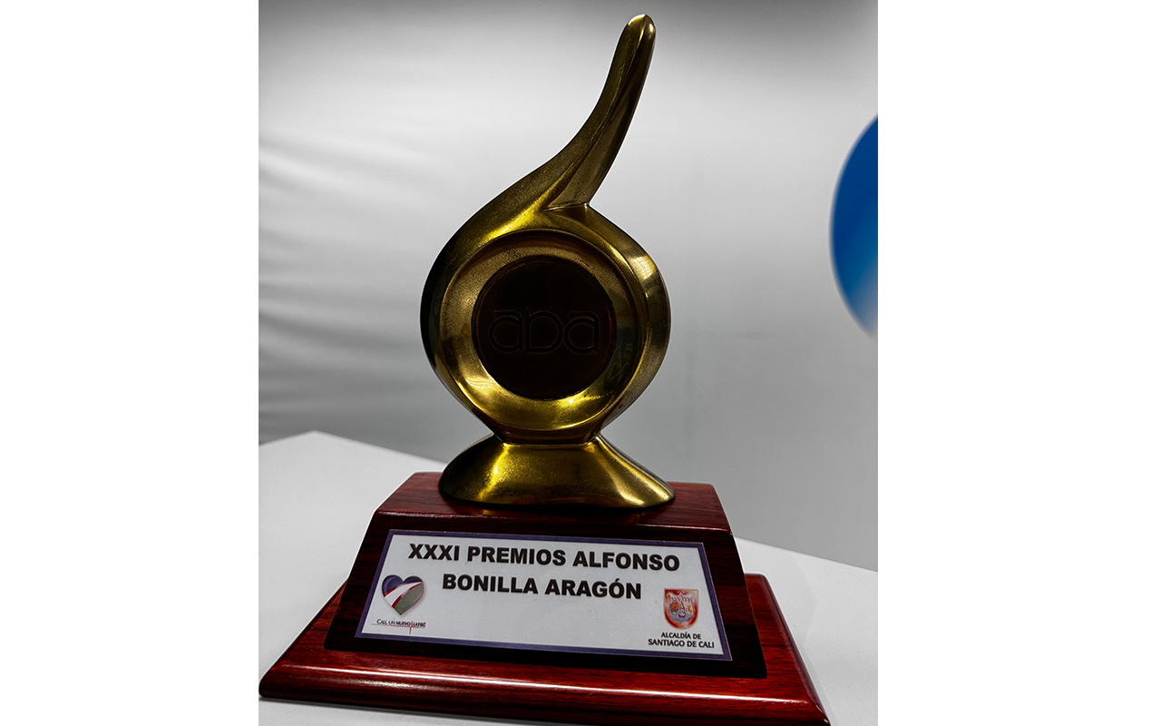 Imagen 13