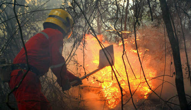 Después de 5 horas, bomberos controlaron incendio forestal al oeste de Cali