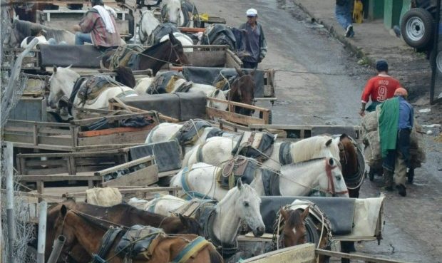 Yumbo busca alternativas para los carretilleros que en 6 meses   deberán salir de las calles