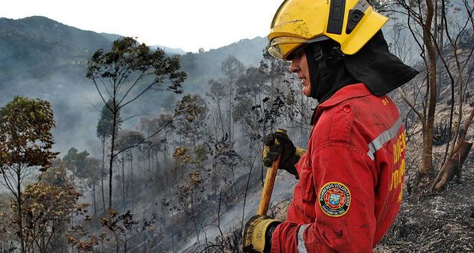 Incendios afectaron 500 mil metros cuadrados de bosques en laderas de Cali