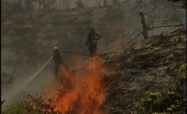 Las verdaderas razones de los incendios en laderas de Cali