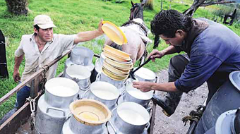 Sequía tiene en alerta a productores de leche en Nariño