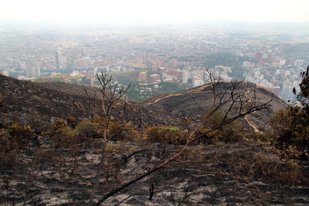 Incendio en cerros de Cali consumió más 50 hectáreas