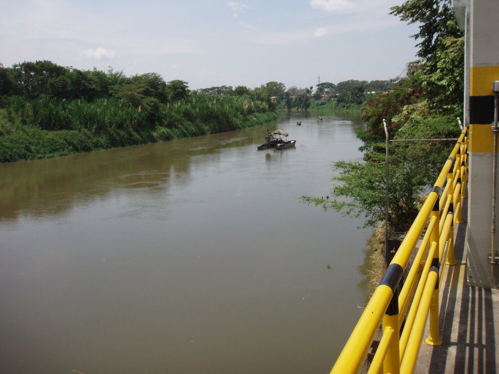 Falta de oxigeno en el agua ocasiono cierre de Puerto Mallarino