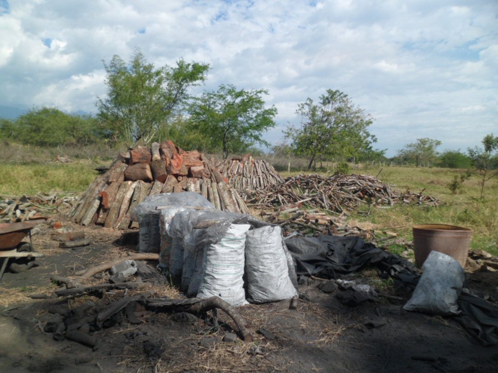 Descubren carbonera ilegal en Buga