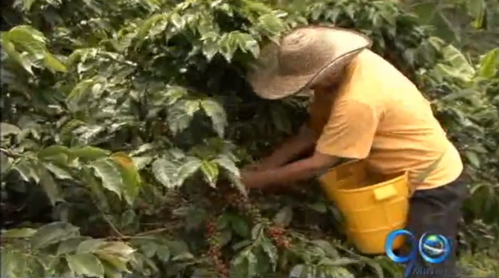 Comité de Cafeteros del Valle propone diálogo con el gobierno