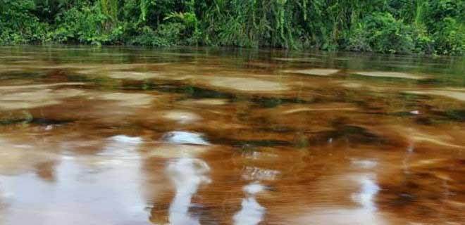 Emergencia ambiental en Putumayo podría ser por ataques guerrilleros