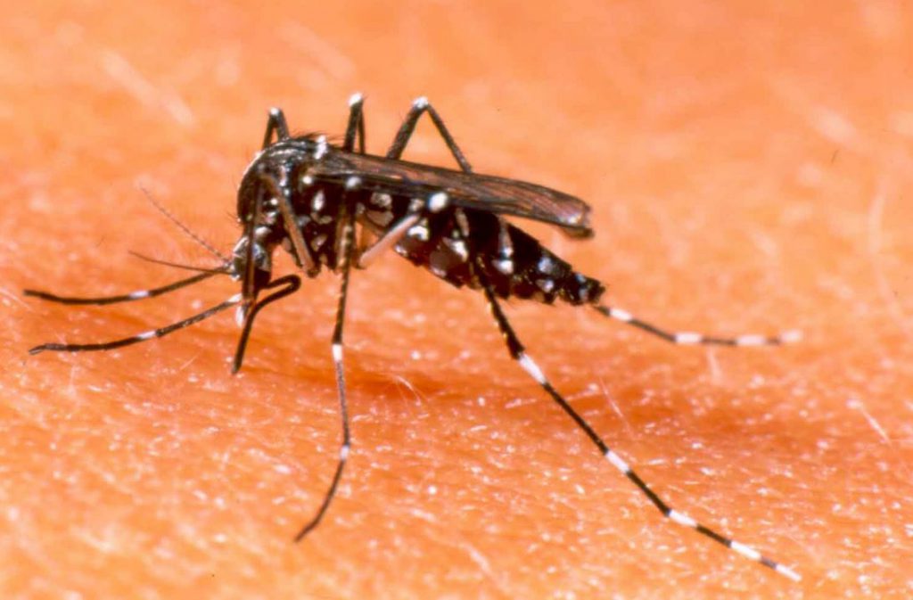 Valle es el segundo departamento con más casos de dengue