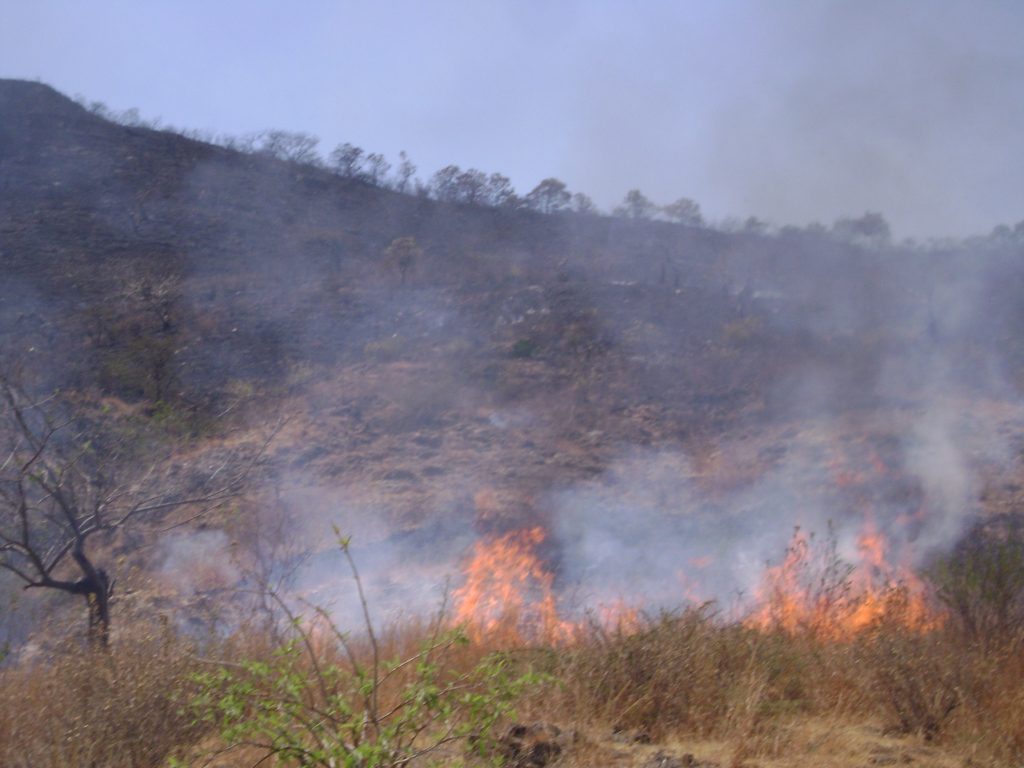 Incendio en zona rural de Cali devastó 5 hectáreas de tierra