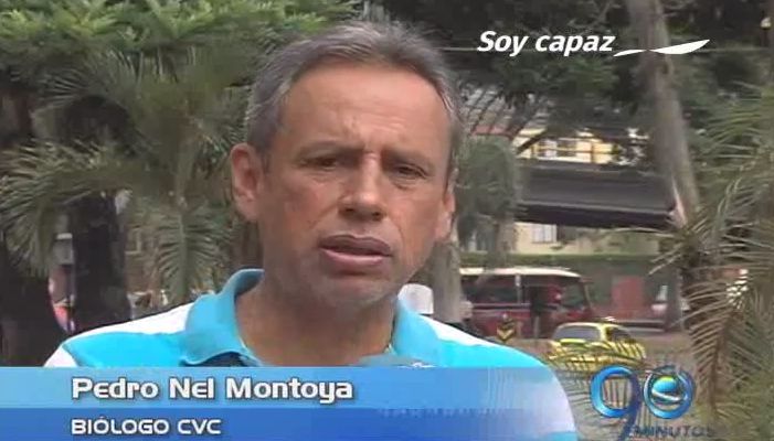 Autoridades ambientales entregan balance de lucha contra el tráfico de fauna