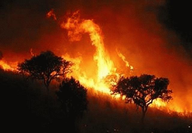 Cerca 60 de hectáreas consumió incendio forestal en Yumbo