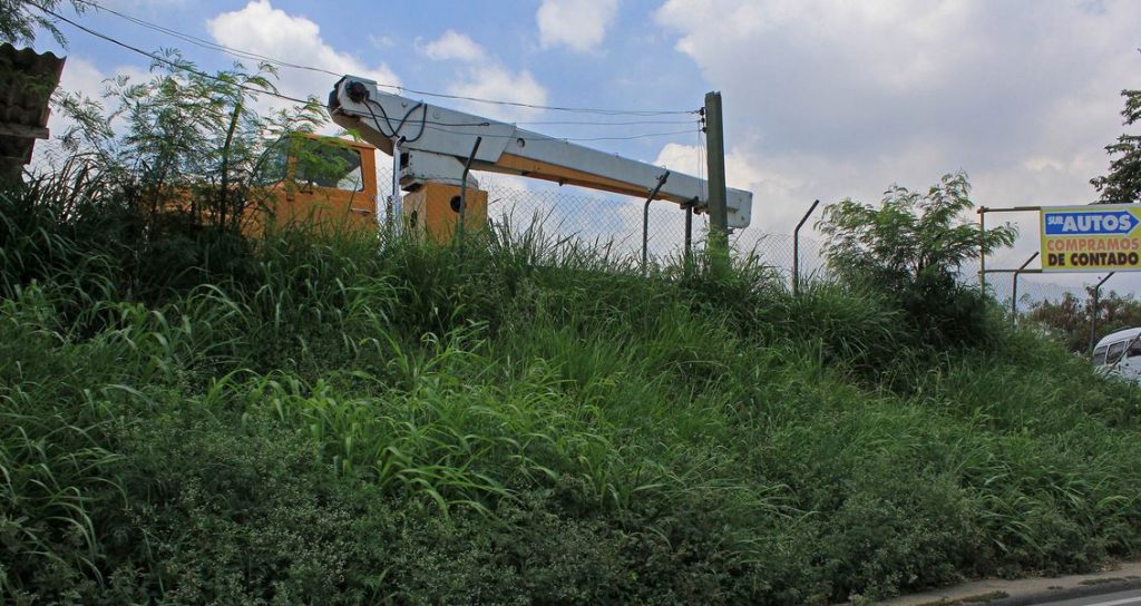 Personería, preocupada por zonas verdes de Cali