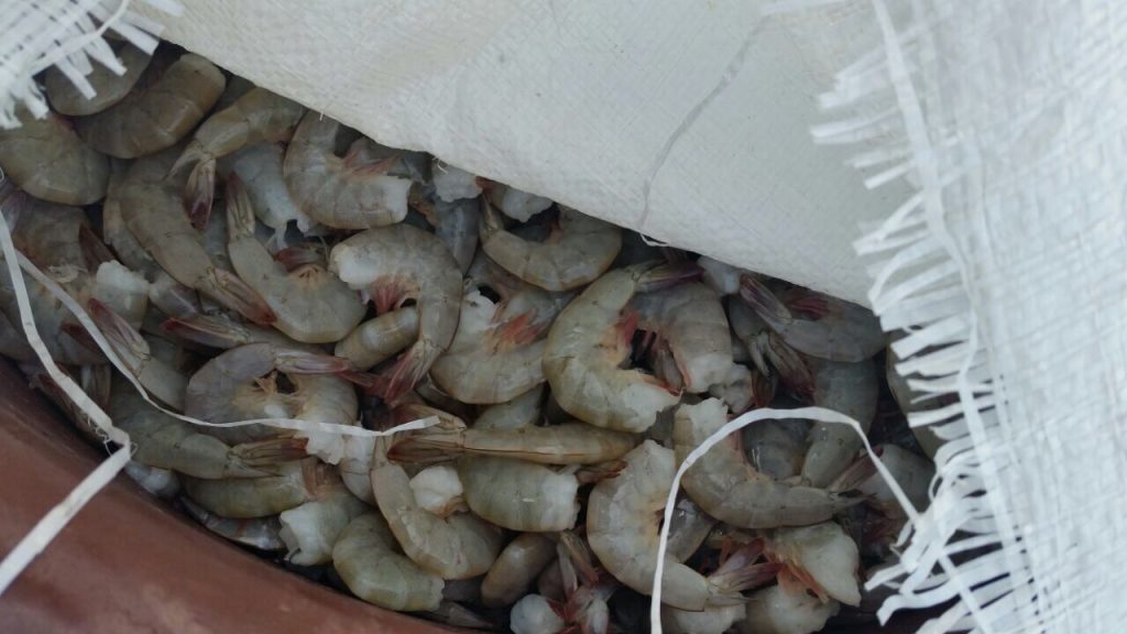 Barco ecuatoriano fue sorprendido con pesca ilegal en el pacífico