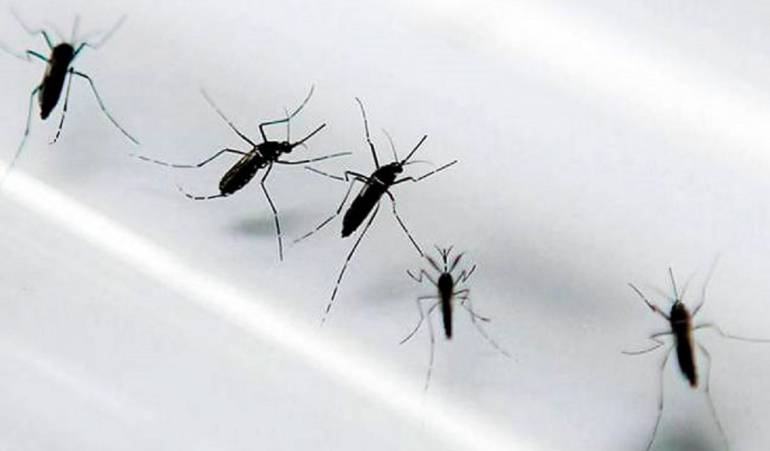 Alerta en Valle por dengue tras muerte de niña de 7 años