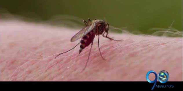 Autoridades de salud en alerta por aumento de casos de dengue