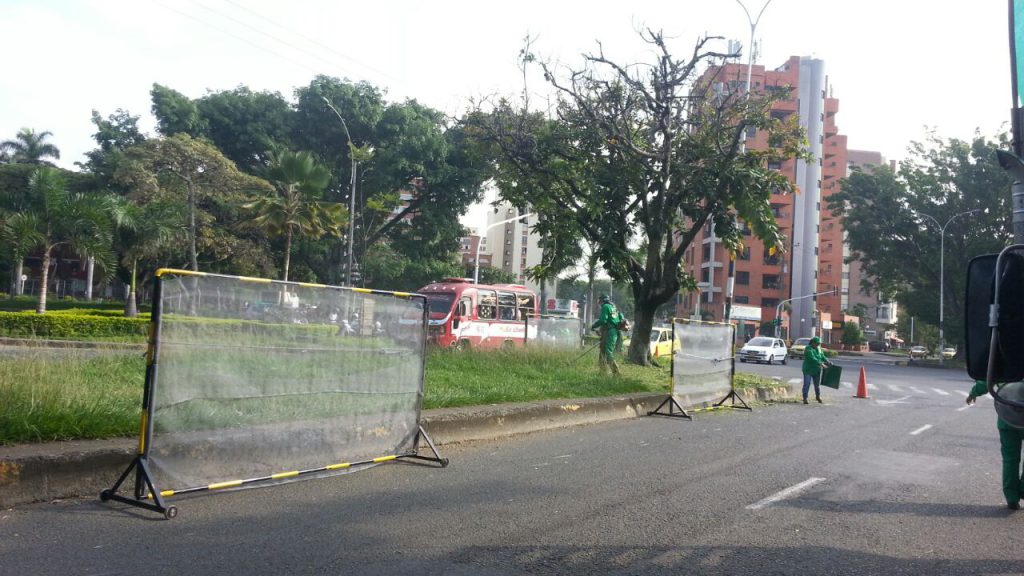 En un 35 por ciento van las podas en la capital vallecaucana