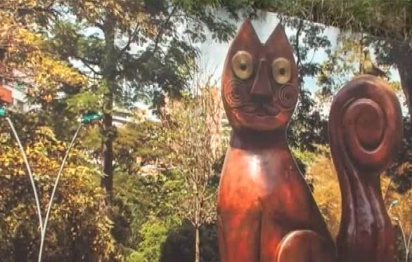 Proyecto busca embellecer los puentes vehículares de la ciudad