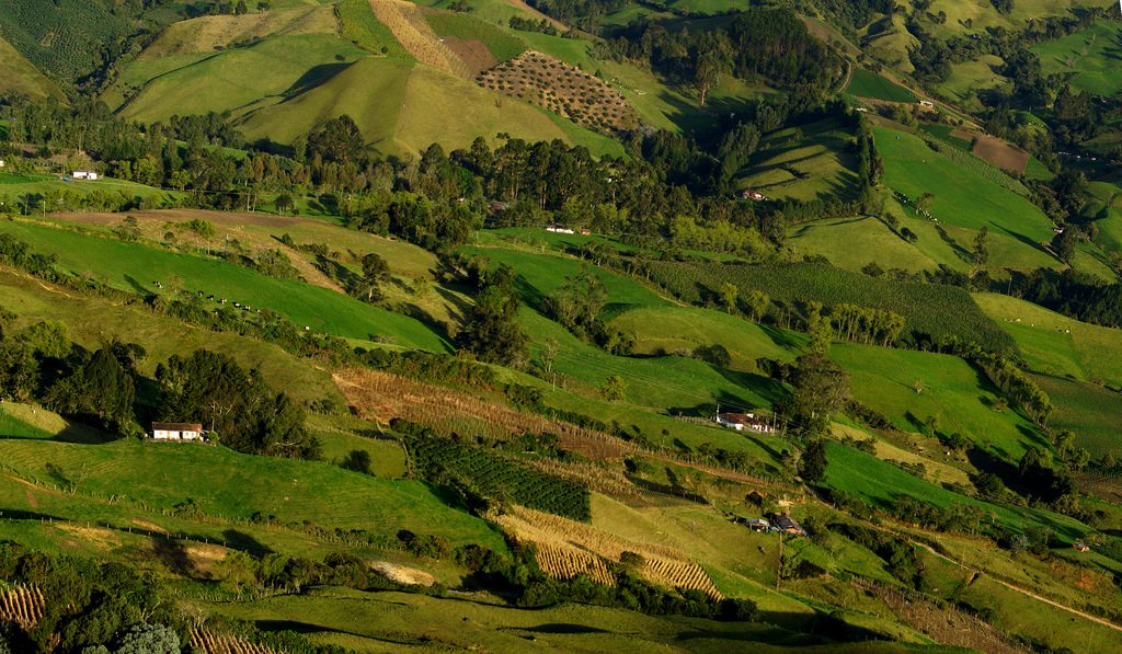 Gobierno confirmó 23 zonas veredales transitorias de concentración