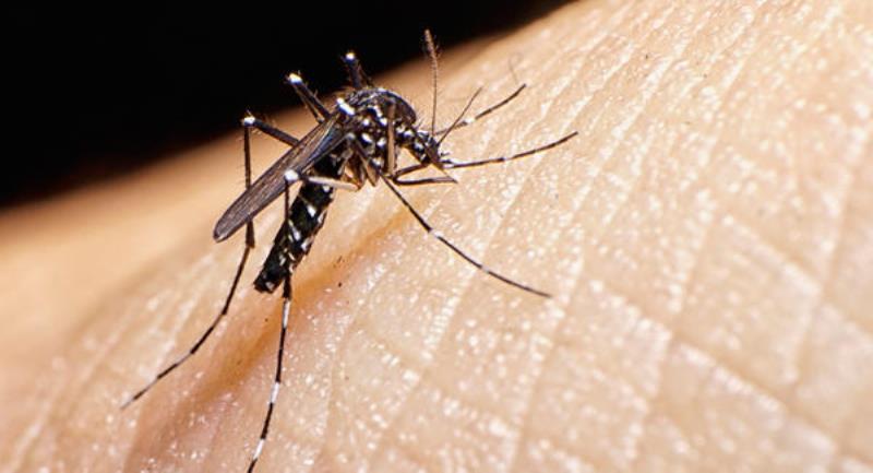 MinSalud anunció el fin de epidemia del zika en Colombia