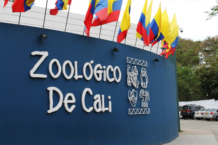 Emergencia por COVID-19 tiene en zozobra a los animales del Zoológico de Cali, piden ayuda a los caleños