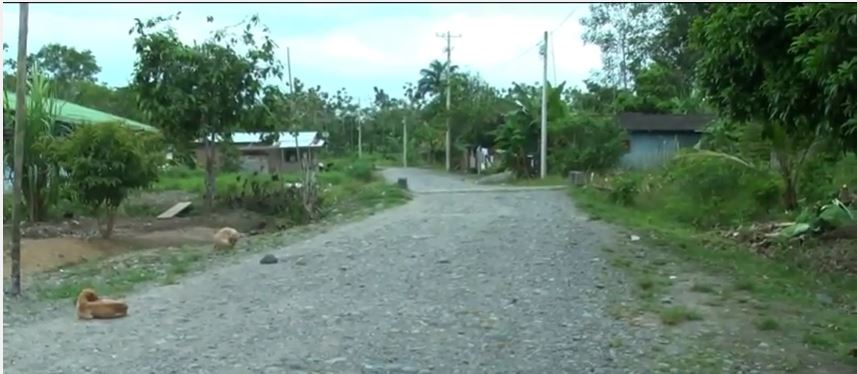 Crece desplazamiento en Tumaco por aparición de nuevas bandas criminales