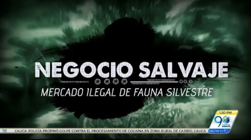 Negocio Salvaje: Mercado ilegal de fauna silvestre