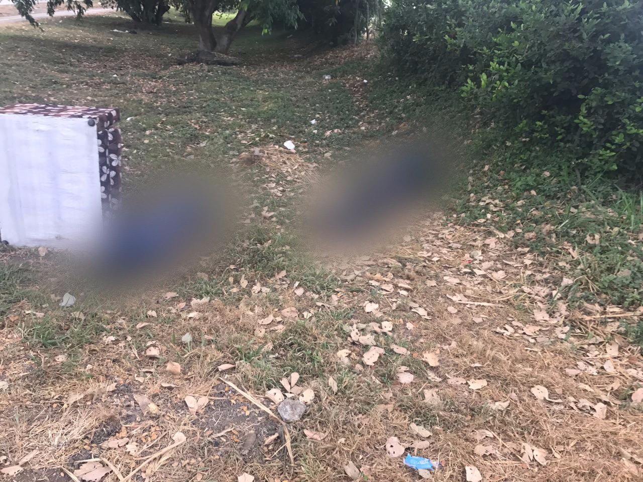 Medicina Legal identificó los tres cadáveres hallados en la recta Cali - Palmira