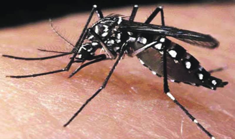 'Semana de Acción contra los Mosquitos' para erradicar el Aedes Aegypti en el Valle
