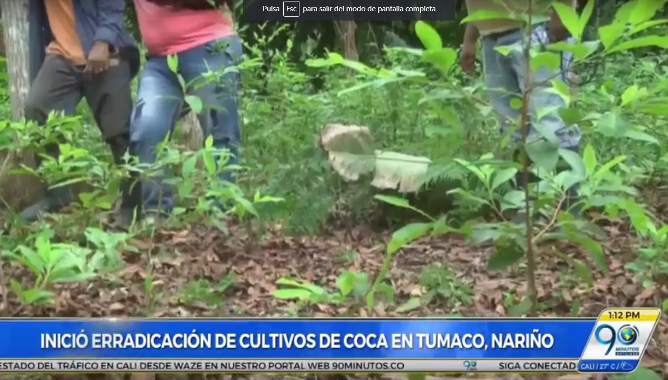Agricultores cocaleros de Tumaco denuncian incumplimiento del Gobierno Nacional