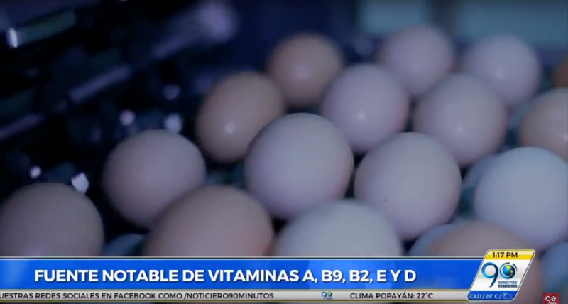 En Día Mundial del Huevo, avicultores del Valle promueven labor social con este alimento