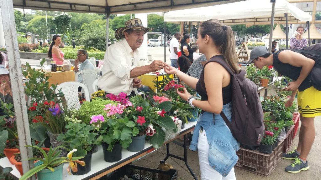 Del campo a su mesa: Mercado Agroecológico vuelve a la Jairo Varela