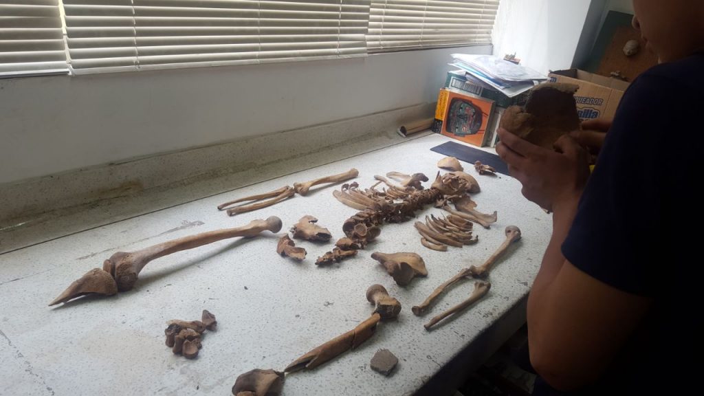 Trabajadores encontraron restos arqueológicos en zona rural de Palmira