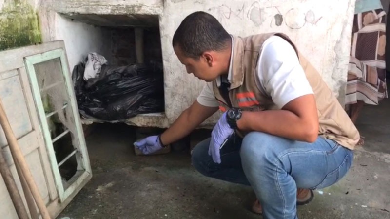 Campañas de exterminio de roedores se realizaron en corregimiento de Sonso, Guacarí