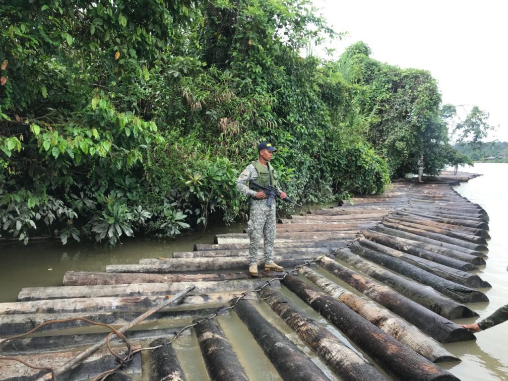 Incautan 2.038 piezas de madera transportadas ilegalmente en el Pacífico