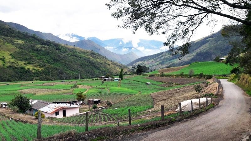 Agro vallecaucano espera romper barrera de 100 millones de dólares en exportaciones