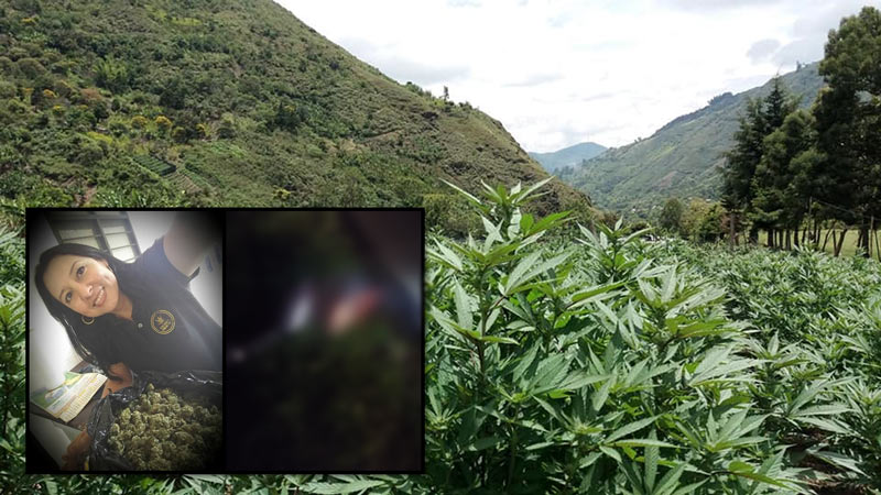 Colombo-argentina fue asesinada en Corinto, Cauca, lideraba el 'Cannabis Tour'