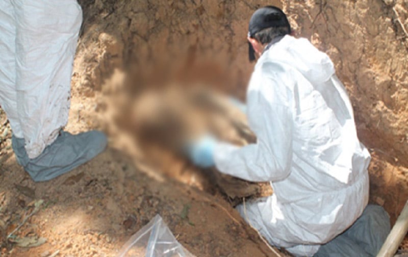 Investigan si cadáveres hallados en Zarzal corresponden a hermanos desaparecidos en Cali
