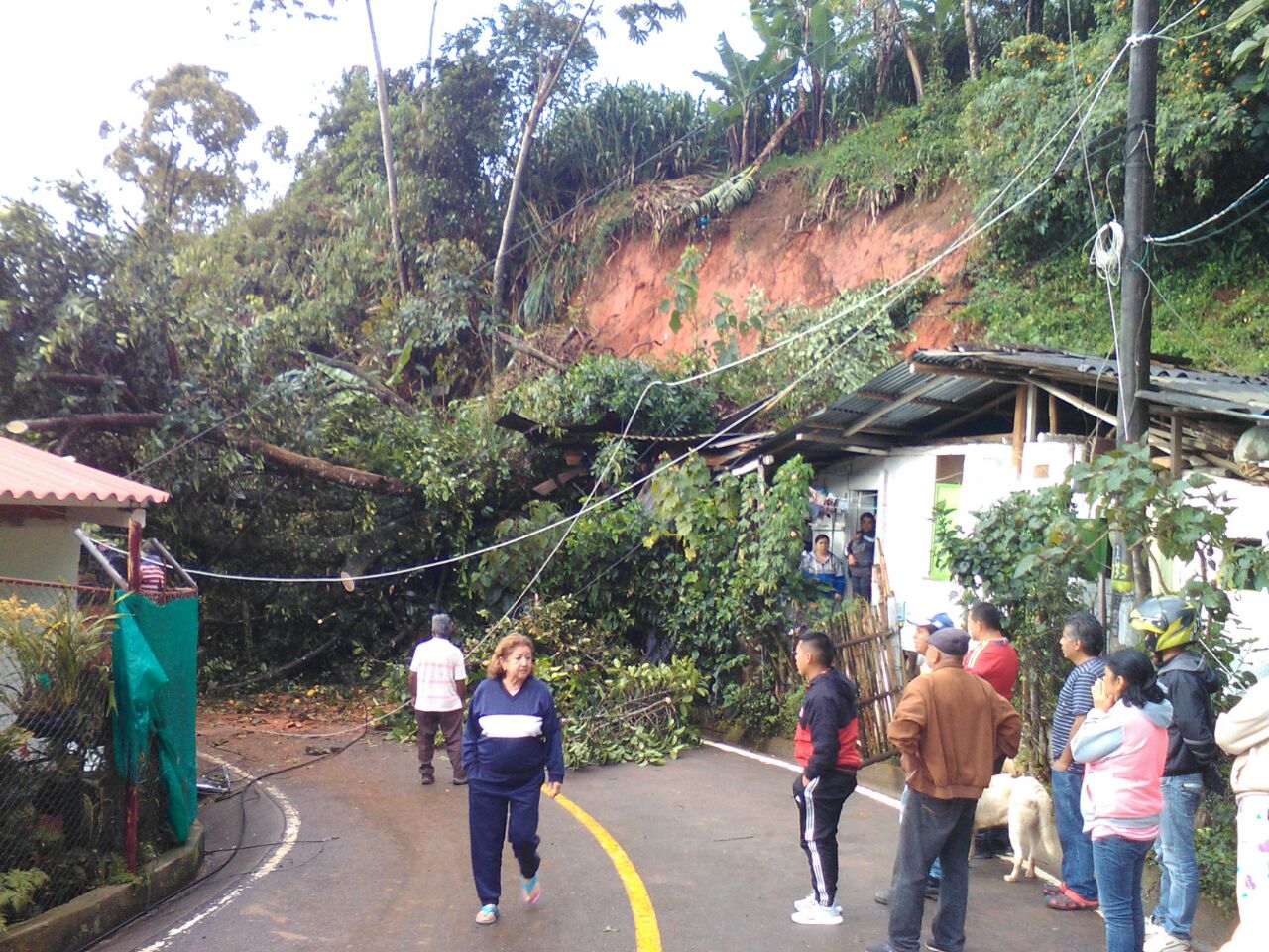 Por derrumbes en el corregimiento de Felidia, vías y casas se vieron afectadas