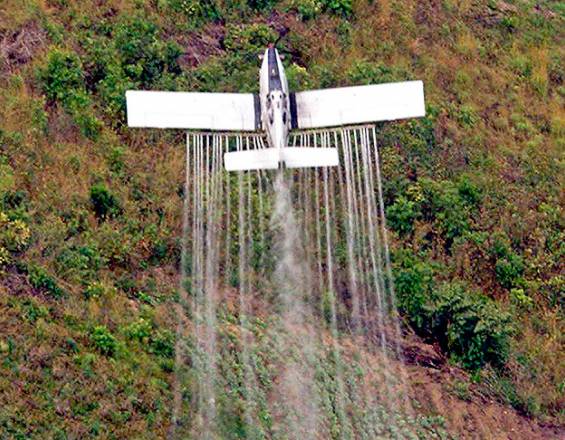 Se reactivará fumigación aérea de los narcocultivos en Colombia