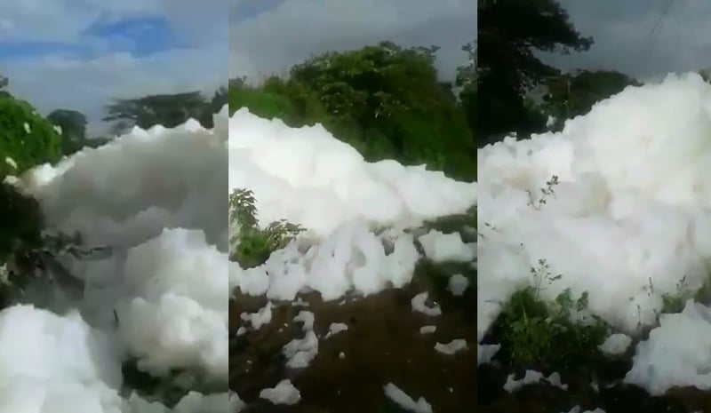 CVC respondió a video viral en redes sobre presencia de espuma en río del Valle