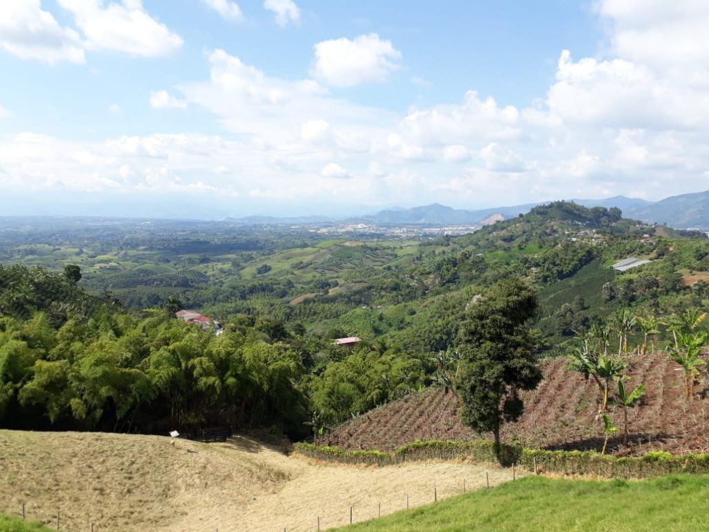 Con llegada de aerolínea española, buscan aumentar turismo en Valle, Risaralda y Quindío