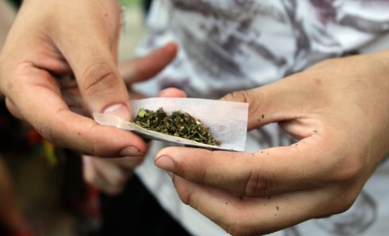 Congreso niega nuevamente legalización de la marihuana recreacional en Colombia
