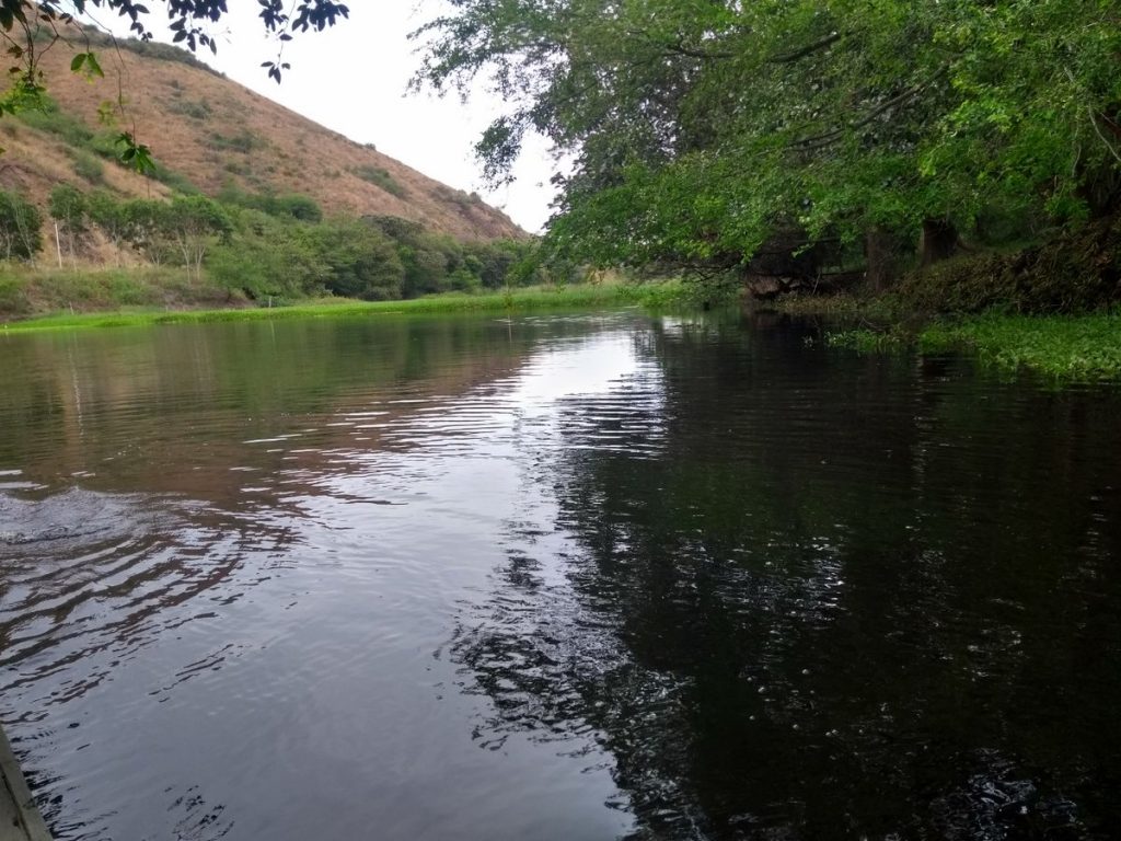 Labores de preservación en el río Coronado incentivan el cuidado del agua en Valle