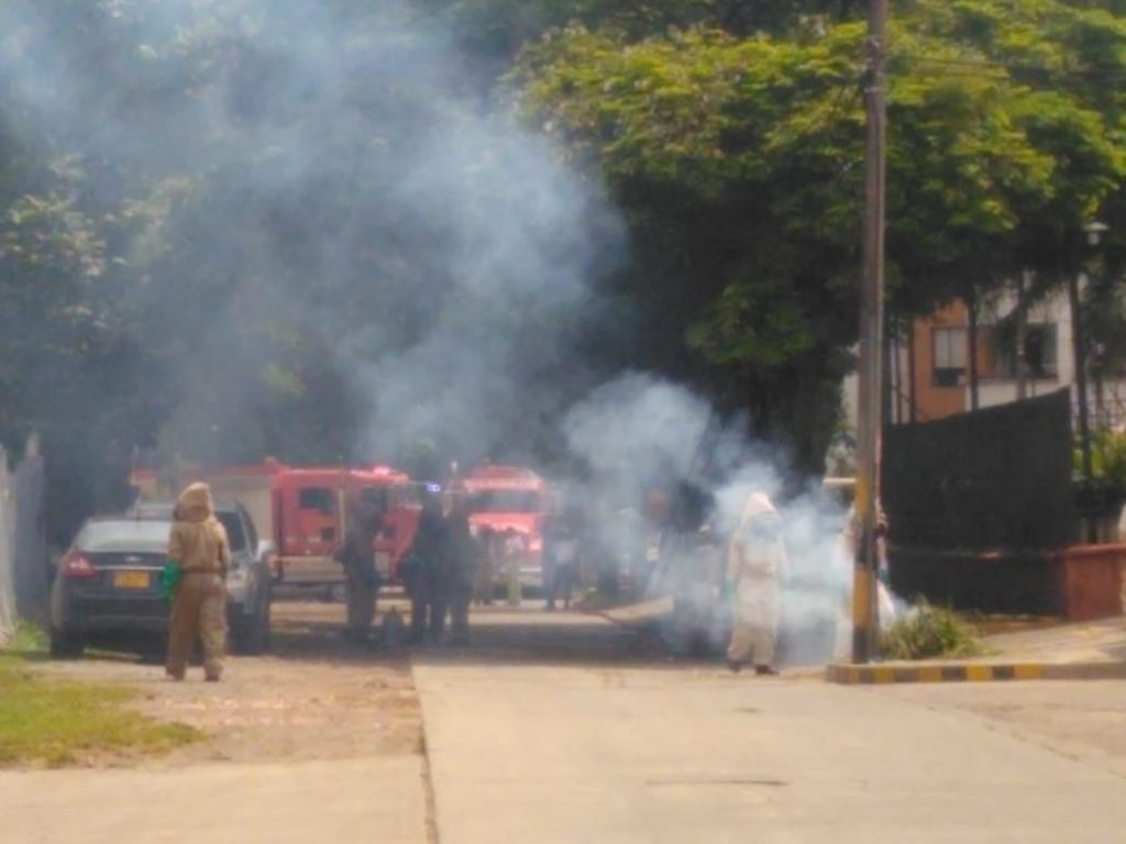 Emergencia con abejas dejó 20 personas afectadas, entre ellas bebé de dos meses