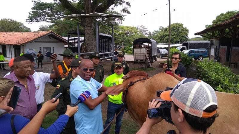 La felicidad del 'Tino' Asprilla por tener nuevamente a 'Lagrimón' en su finca