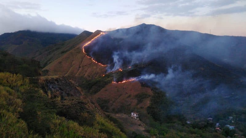 Un total de 117 incendios forestales se han atendido en Cali durante el 2019