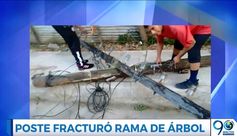 Habitantes de la vía al mar preocupados por árbol y poste que amenazaban con caer