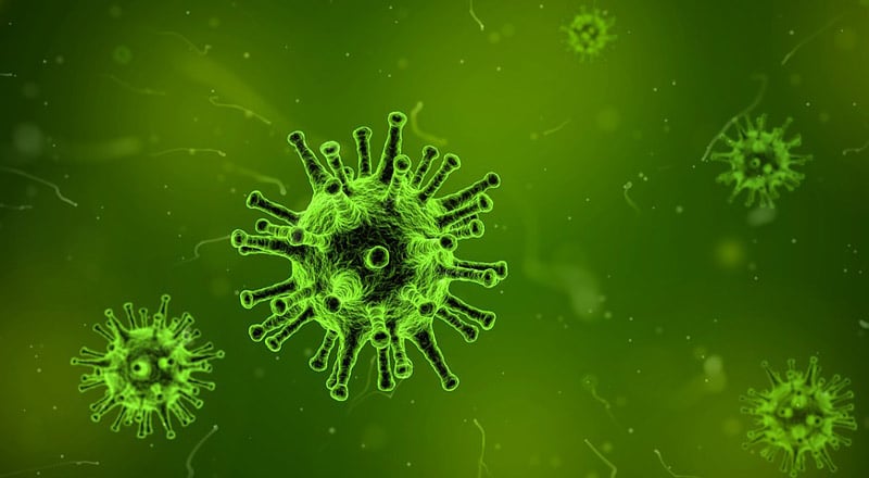 OMS presenta nueva estrategia global contra la gripe para los años 2019-2030