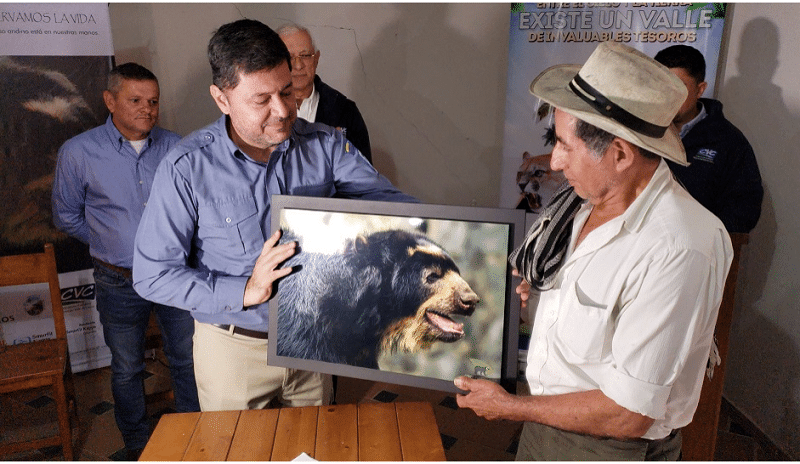 Con acuerdos buscan proteger al oso Andino que habita en corregimiento El Queremal