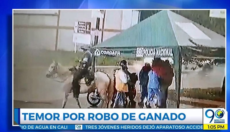 Habitantes de Bitaco, Valle, están denunciando robo de ganado y caballos de fincas